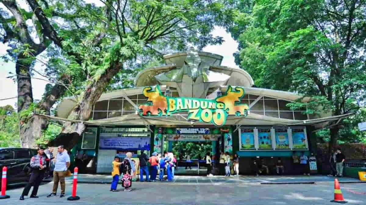 Bandung Zoo Putuskan Keluar Dari PKBSI, Berikut Alasannya!