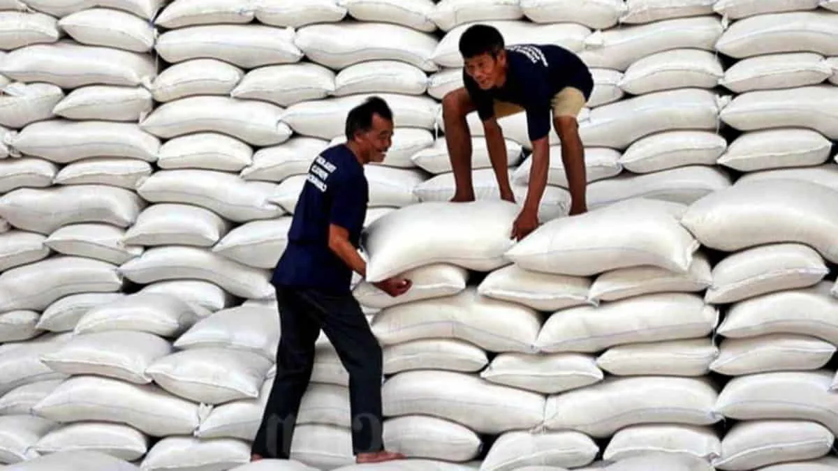 Bulog Prediksi Serapan CBP 2026 Melonjak, Siapkan 100 Gudang Beras Baru di Wilayah 3T