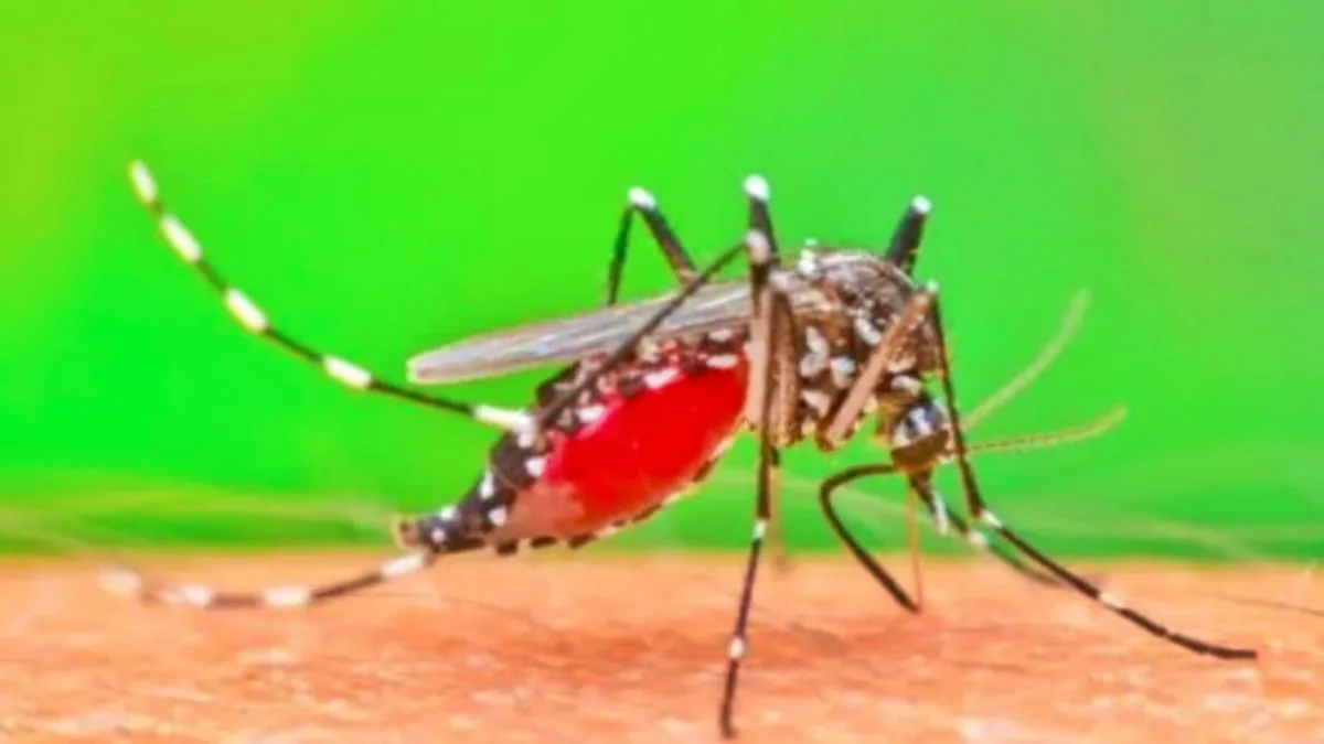 Cegah Peningkatan Kasus DBD, Pemkot Bandung Masifkan Edukasi ke Masyarakat