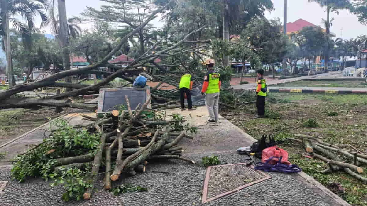 Cuaca Ekstrem Picu Bencana Hidrometeorologi di Sejumlah Wilayah Indonesia