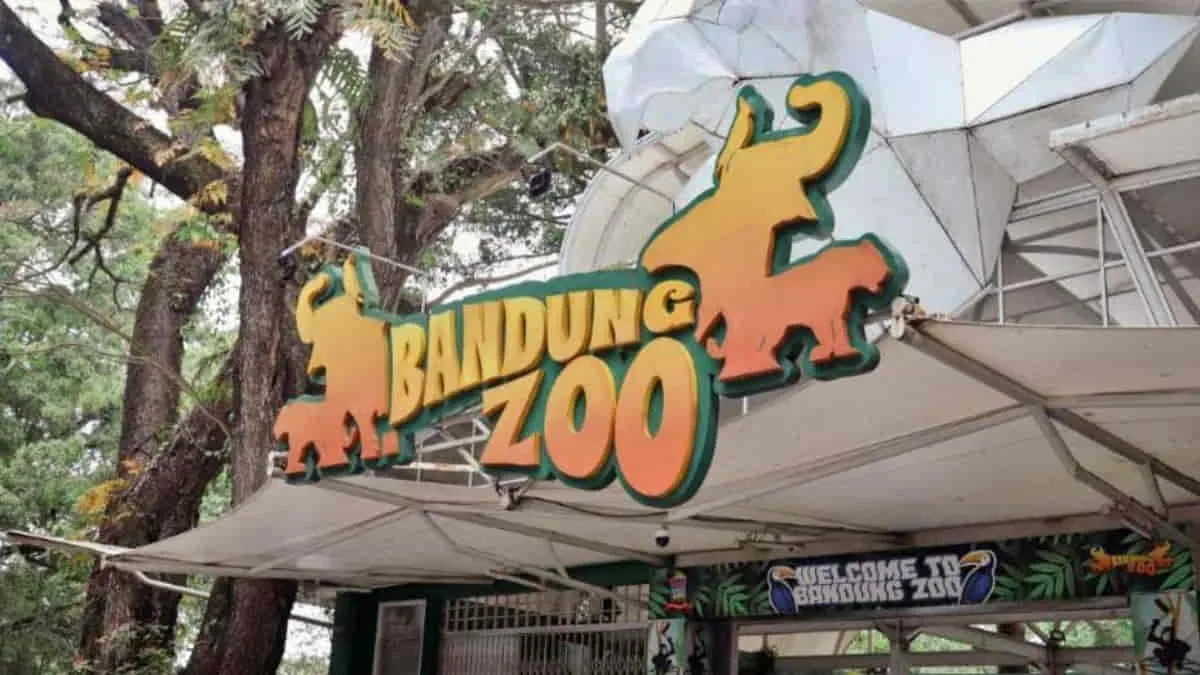 FK3I Jawa Barat; Penyegelan dan Penutupan Operasional Bandung Zoo tak Berdasar!