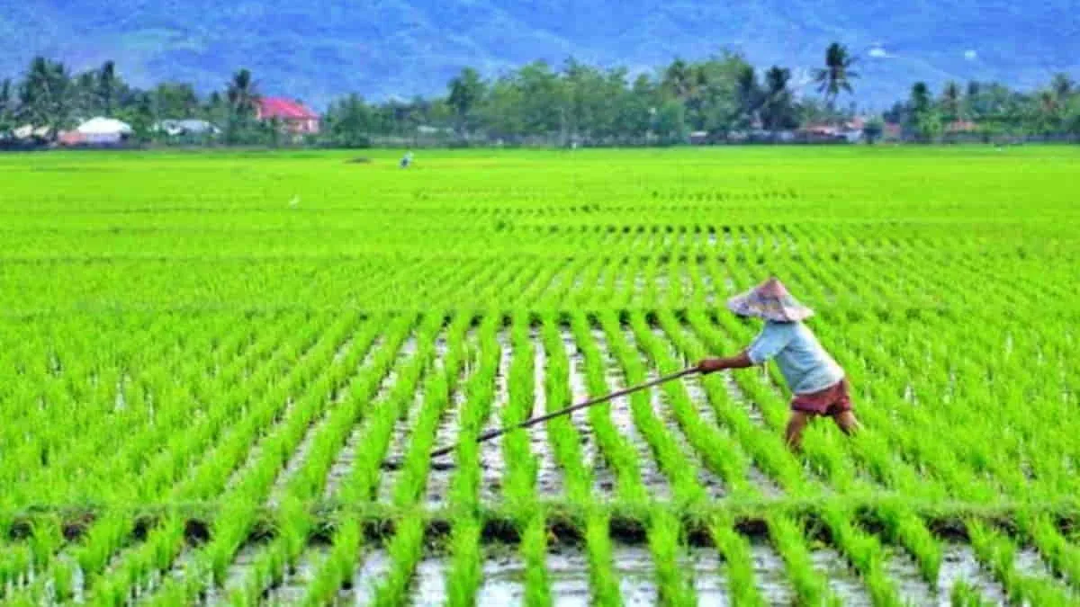 Indonesia Kuatkan Komitmen Jadi Lumbung Pangan Dunia
