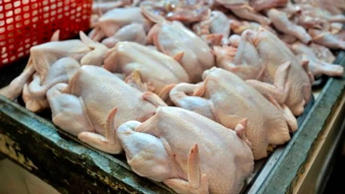 Jual di Atas Harga Acuan Penjualan, Bapanas Cabut Izin Usaha Distributor Daging Ayam Ras