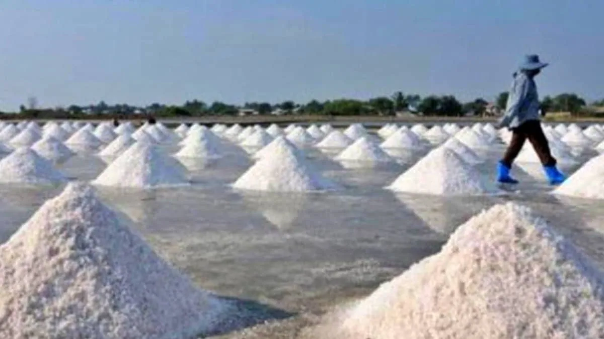 KKP Ungkap Alasan Harga Garam Nasional Tinggi