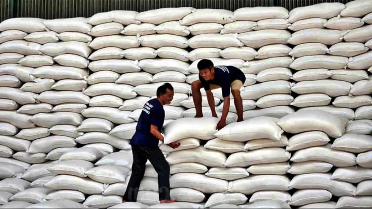 Pemerintah Alokasikan Rp 5 Triliun Bangun 100 Gudang Baru Perum Bulog