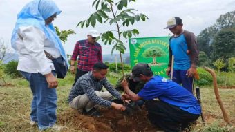 SOMASI Gelar Penanaman Pohon di Gambung Kabupaten Bandung, Dorong Kolaborasi Pentahelix Pelestarian Lingkungan