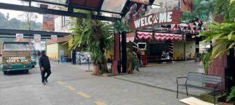 Ngeri, Macan Tutul Kabur Saat Jalani Karantina di Lembang Park and Zoo