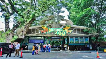 Bandung Zoo Putuskan Keluar Dari PKBSI, Berikut Alasannya!