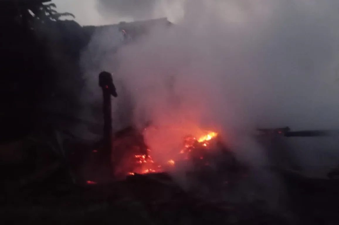 Kebakaran kandang ternak di Bandung Barat, Selasa (7/10/2025) pagi, lima kambing tewas terpanggang. (Foto: Istimewa)
