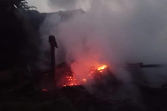 Kebakaran Kandang Ternak di Bandung Barat, Lima Kambing Tewas Terpanggang