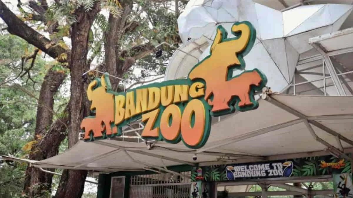 FK3I Jawa Barat menilai penyegelan dan penutupan operasional Bandung Zoo, Kota Bandung, tak memiliki dasar regulasi yang kuat. Foto: ist/net