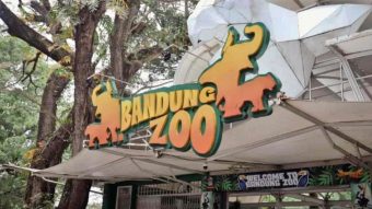 FK3I Jawa Barat; Penyegelan dan Penutupan Operasional Bandung Zoo tak Berdasar!