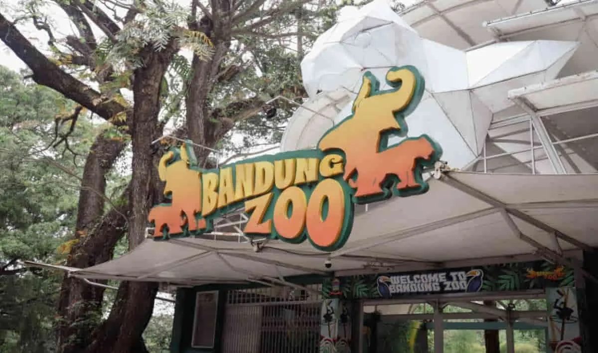 Bandung Zoo Masih Tutup Setelah Kisruh Dualisme Manajemen. (Istimewa)