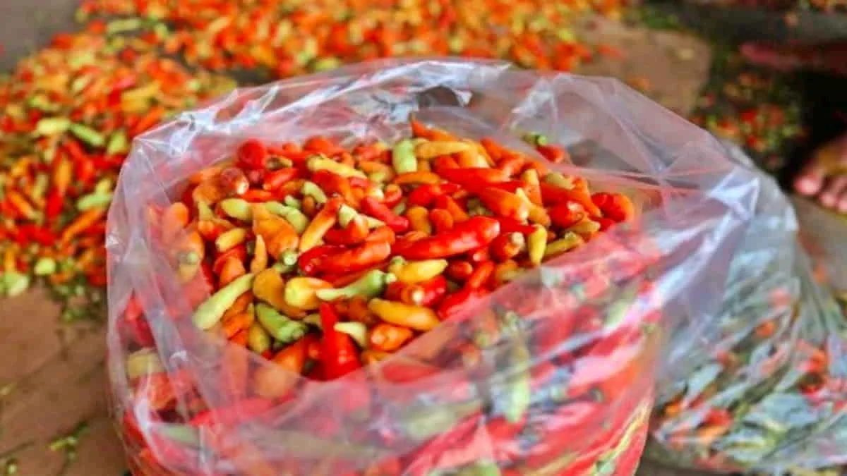 Menjelang Ramadan, harga cabai di sejumlah pasar tradisional di Jawa Barat mulai merangkak naik. Foto: istimewa/