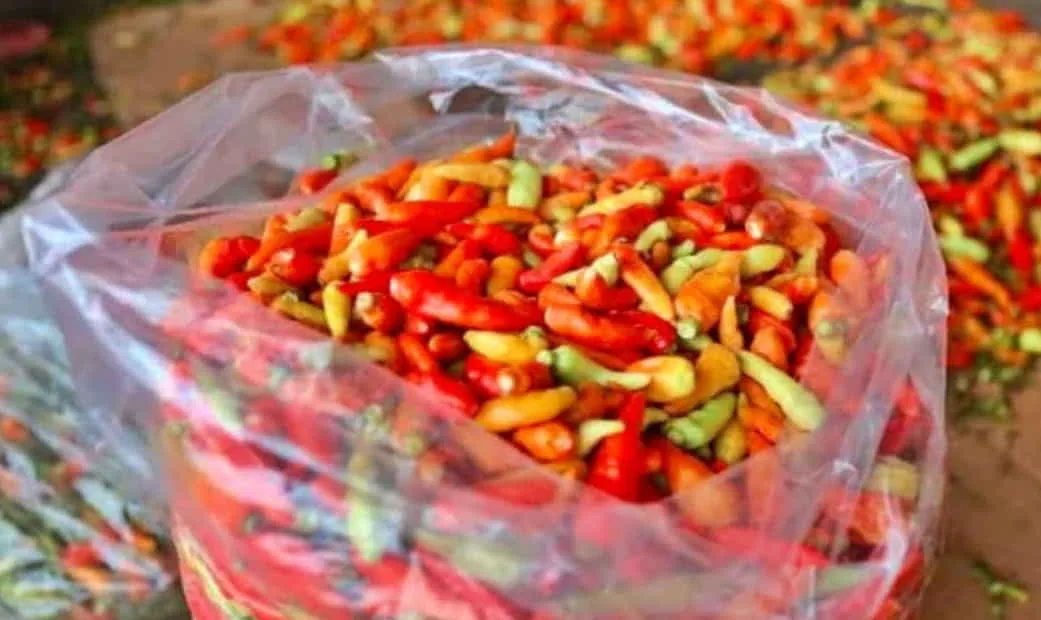 Berdasarkan data PIHPS Bank Indonesia per 15 Maret 2026, harga cabai rawit naik menjadi Rp 84.550 per kilogram. Meski demikian, pemerintah mengklaim menjelang Idulfitri 1447 H, ketersediaan pangan nasional relatif aman. Foto: istimewa/net