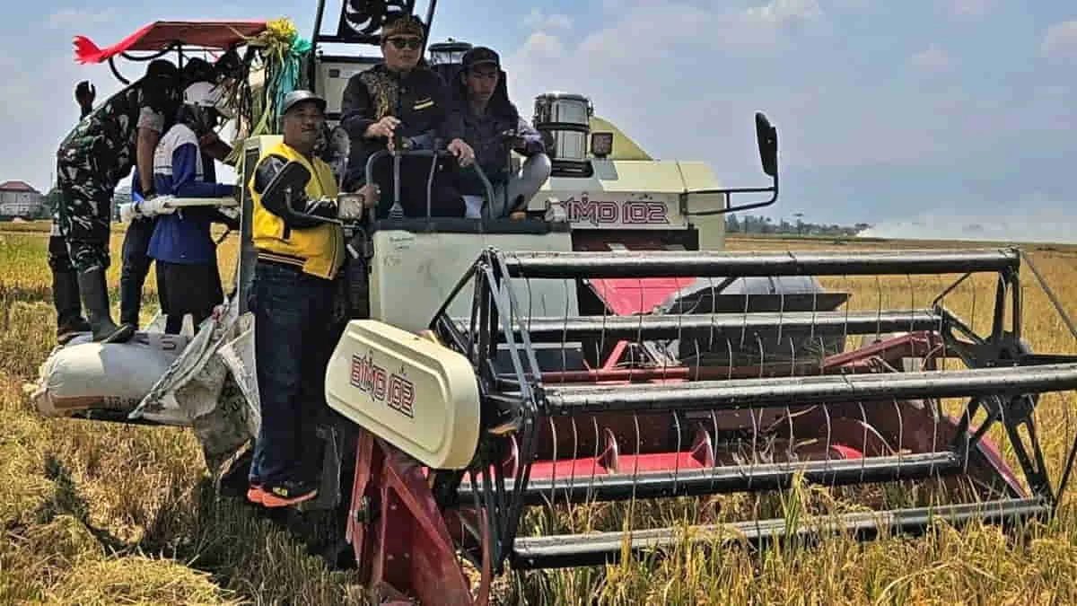 Mendukung ketahanan pangan, anggota DPR RI Dadang Naser mendesak Pemkab Bandung wajib mempertahankan lahan sawah abadi pertanian. Foto: ecp/trustjabar