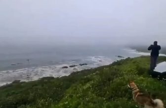 Gempa 8,7 Mangitudo Guncang Rusia, Gelombang Tsunami Terjang Jepang dan Hawai!