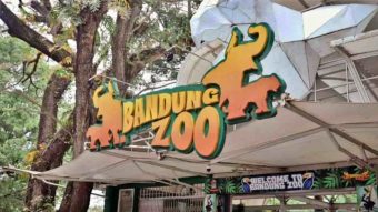 Bandung Zoo Kehilangan Rp 2,7 Miliar Lewatkan Dua Kali Long Weekend Tanpa Pengunjung