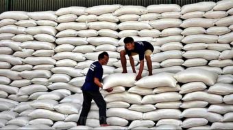 Pemerintah Alokasikan Rp 5 Triliun Bangun 100 Gudang Baru Perum Bulog