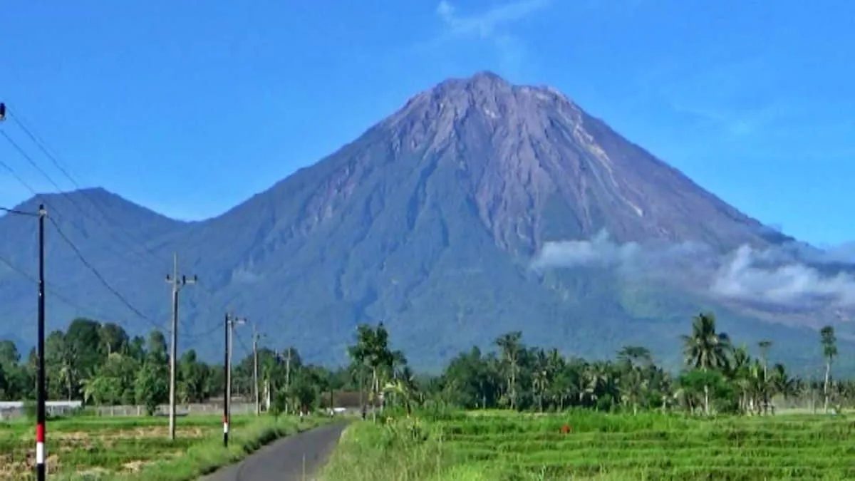 Gunung Semeru kembali menunjukkan aktivitas vulkaniknya pada Selasa (25/11/2025) pagi, Pemkab Lumajang kembali memperpanjang status darurat kebencanaan. Foto: ist/net