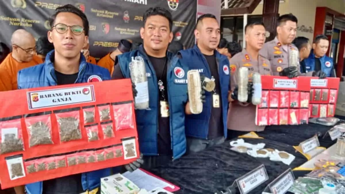Polres Cimahi berhasil membekuk 41 tersangka penyalahgunaan narkotika di wilayah hukum Polres Cimahi, Jawa Barat. Di antara para tersangka itu, ada pasangan suami istri (pasutri) yang turut diamankan polisi karena kedapatan menjadi pengedar ganja. Foto: Adi/trustjabar