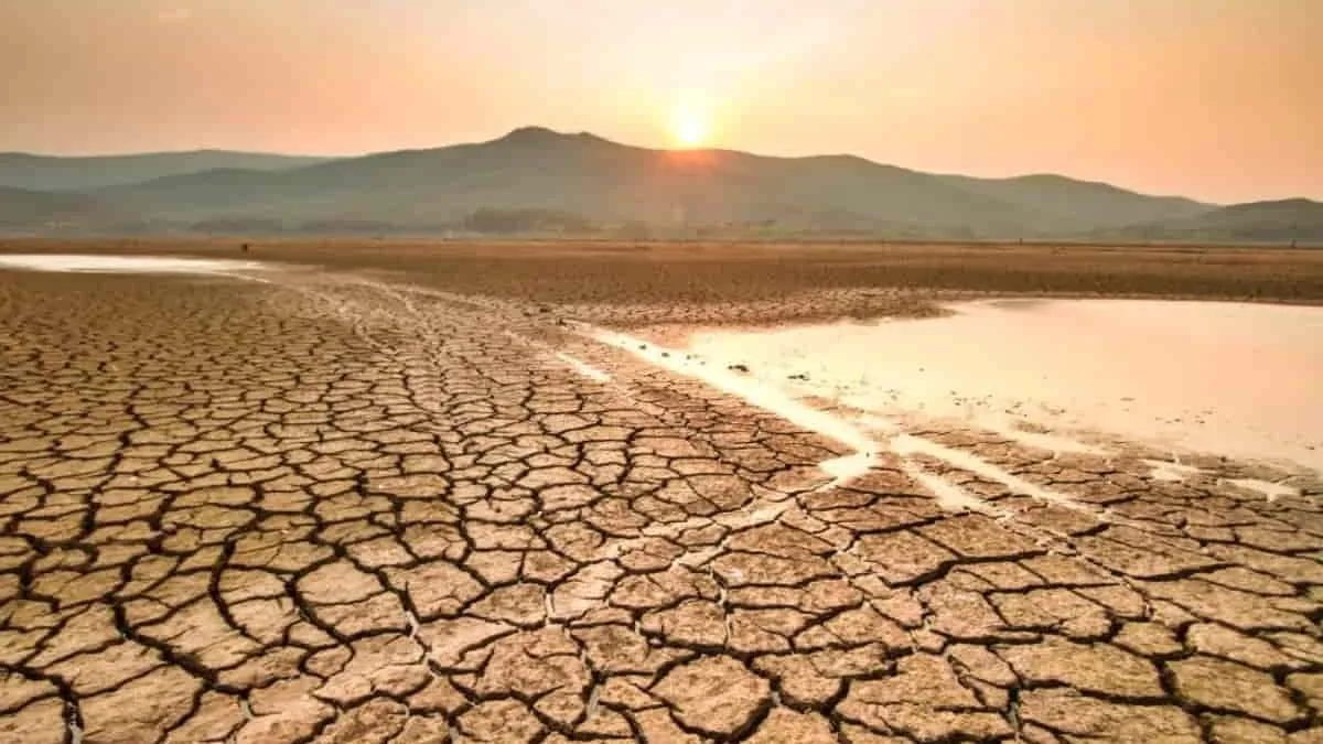Ilustrasi kekeringan. Ancaman potensi badai El Nino, pemerintah di seluruh Asia Tenggara kini berpacu mengamankan pasokan pangan. Foto: ilustrasi/