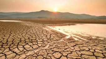 Ancaman Badai El Nino, Pemerintah di Seluruh Asia Tenggara Berpacu Amankan Pasokan Pangan